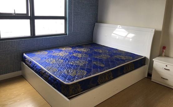 apartment for rent in district 2 D2143808 (1)